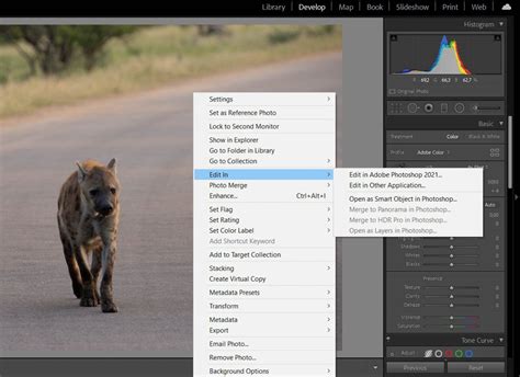 Program Filters: A Versatile Tool for Any Genre of Photography